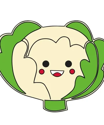 MDF Cabbage Fridge Magnet